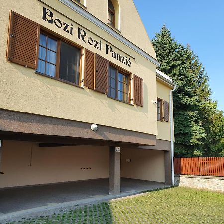 Bozi Rozi Panzio Hotel Fertoboz Bagian luar foto