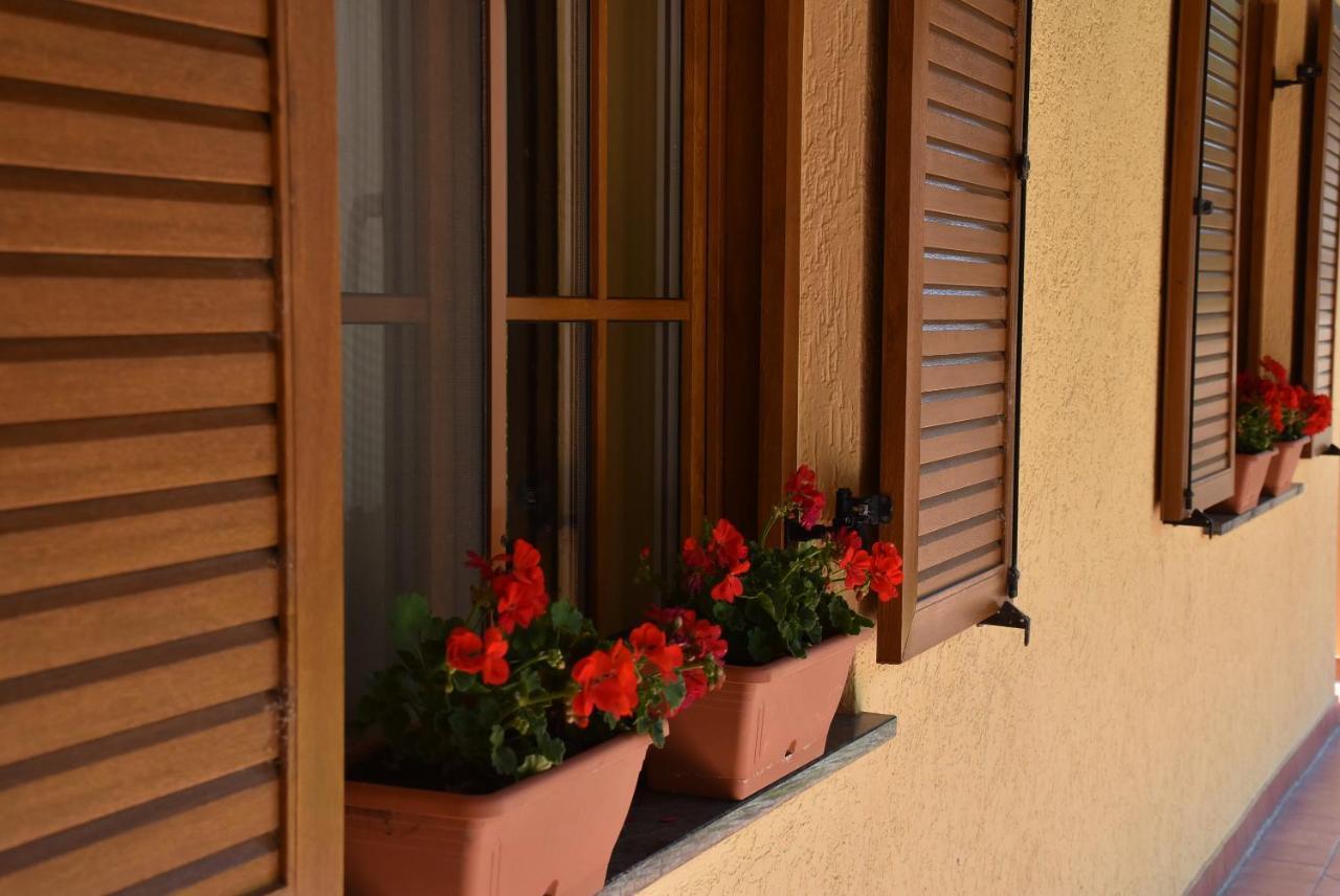 Bozi Rozi Panzio Hotel Fertoboz Bagian luar foto