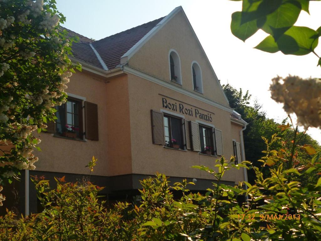 Bozi Rozi Panzio Hotel Fertoboz Bagian luar foto